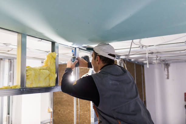Best Residential Insulation in Ferrum, VA