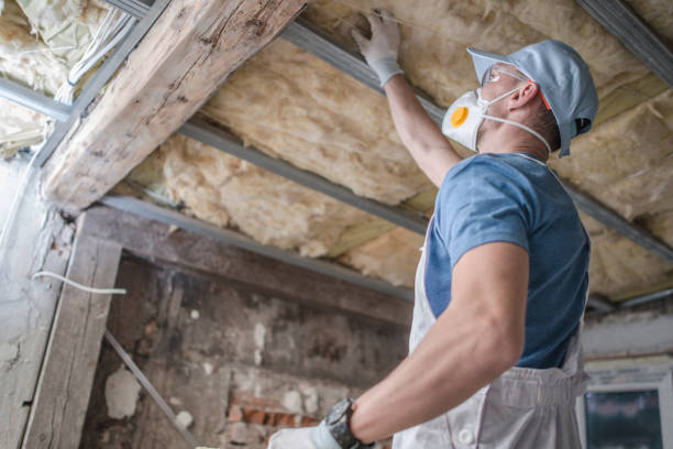 Types of Insulation We Offer in Ferrum, VA