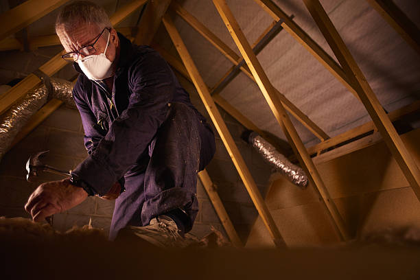 Best Geographic-Specific Insulation Services in Ferrum, VA