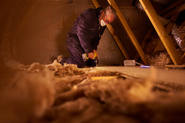 Best Eco-Friendly Insulation in Ferrum, VA