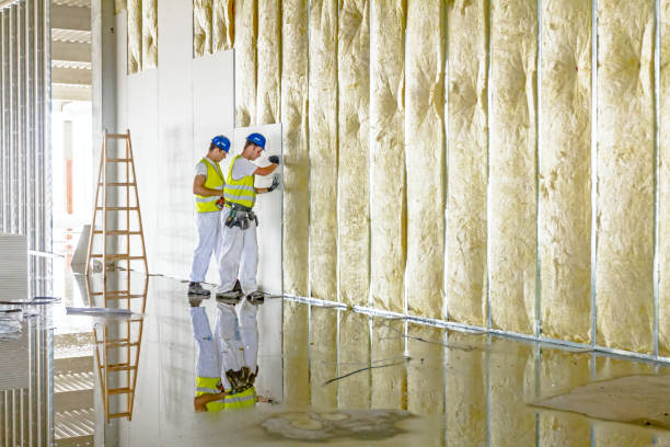 Types of Insulation We Offer in Ferrum, VA